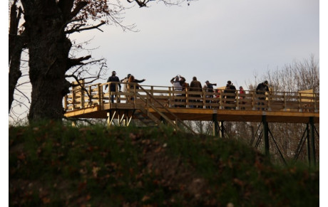 Sélection Nationale Compak au Chêne Rond
