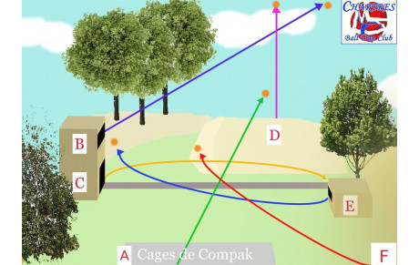 Nouvelles trajectoires au Bois