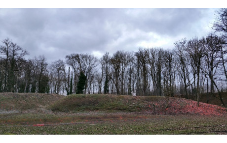 Travaux au &quot;Bois&quot;