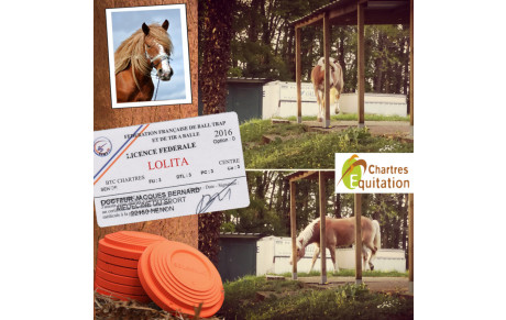 Nouvelle licenciée...